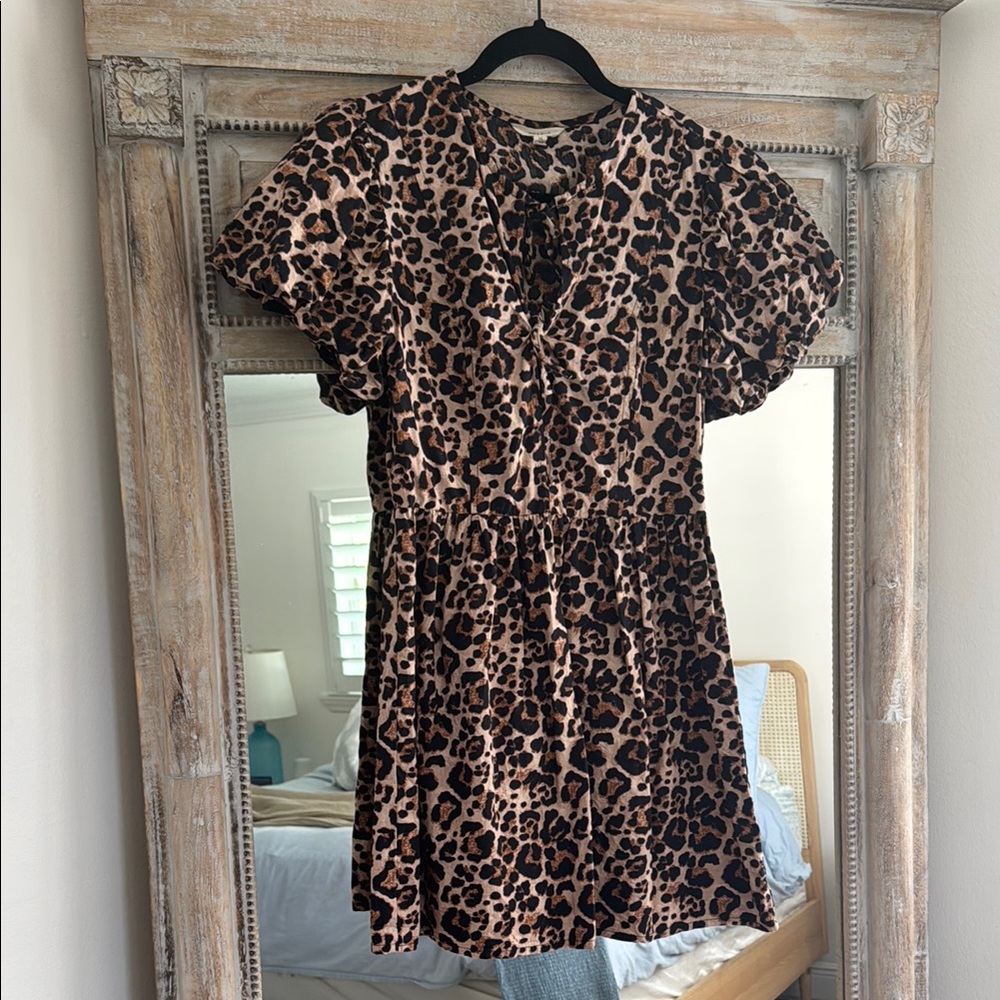 Leopard Print Mini Dress